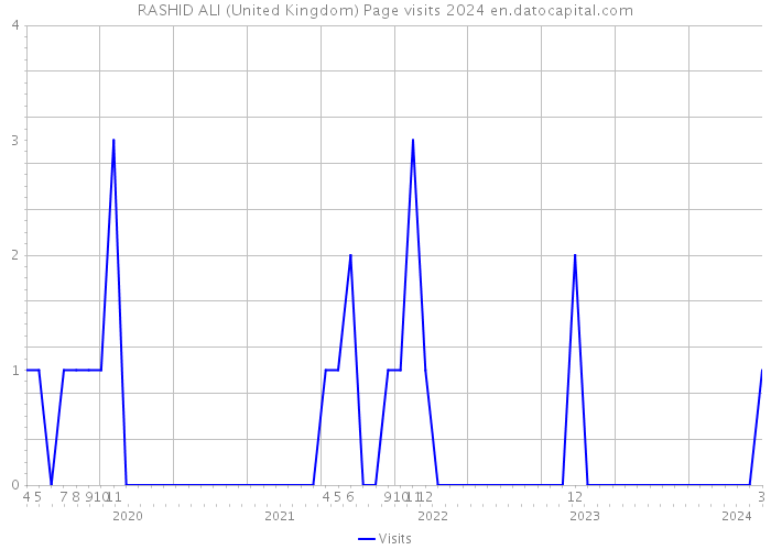 RASHID ALI (United Kingdom) Page visits 2024 