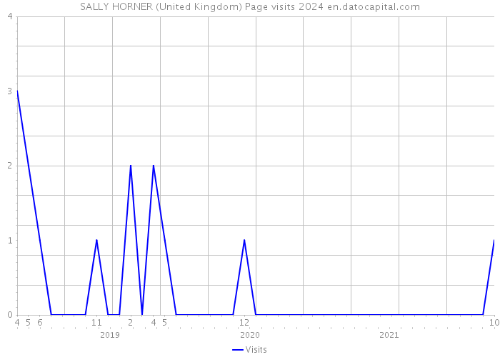 SALLY HORNER (United Kingdom) Page visits 2024 