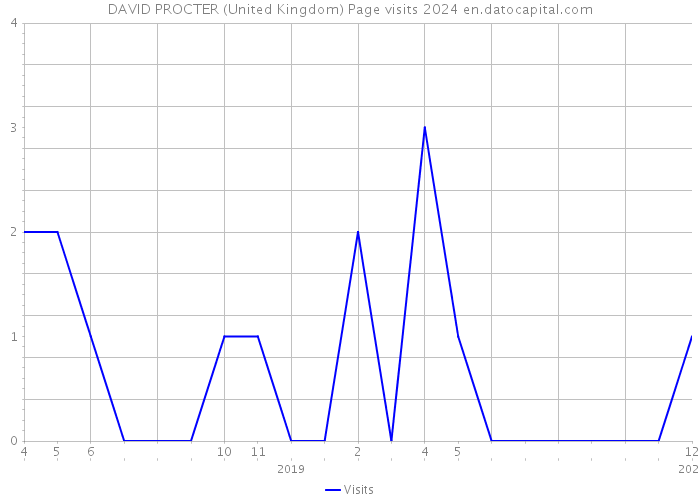 DAVID PROCTER (United Kingdom) Page visits 2024 