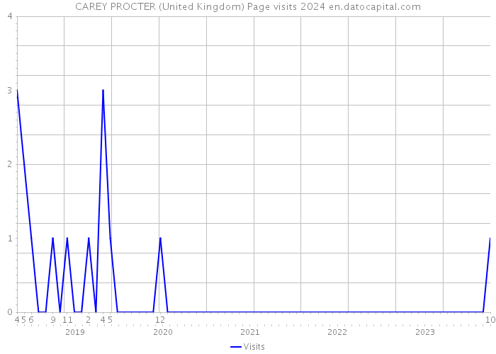 CAREY PROCTER (United Kingdom) Page visits 2024 
