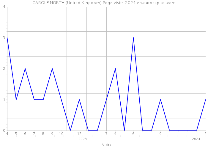 CAROLE NORTH (United Kingdom) Page visits 2024 