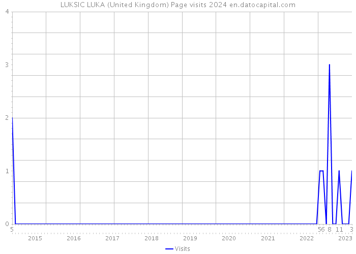 LUKSIC LUKA (United Kingdom) Page visits 2024 