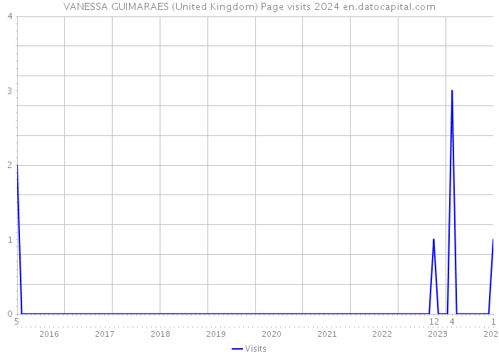 VANESSA GUIMARAES (United Kingdom) Page visits 2024 