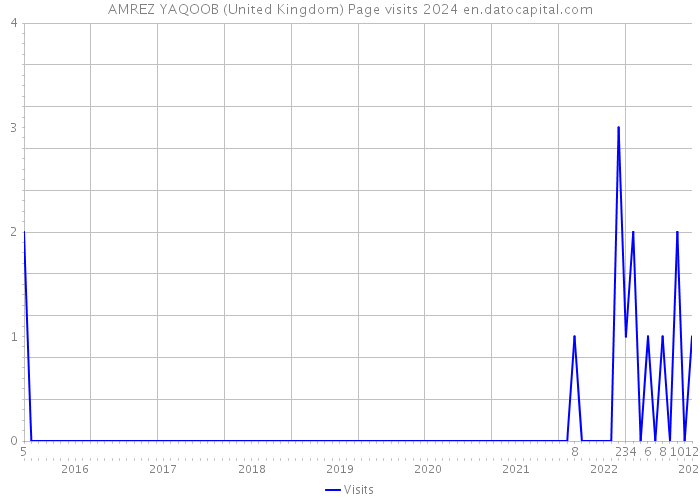 AMREZ YAQOOB (United Kingdom) Page visits 2024 