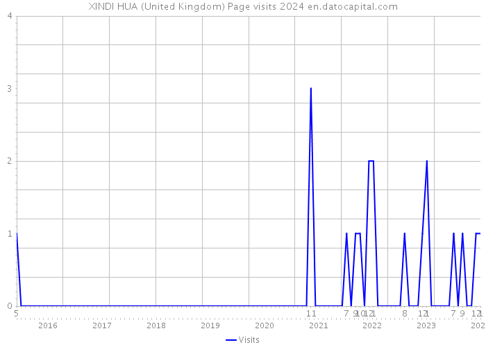 XINDI HUA (United Kingdom) Page visits 2024 