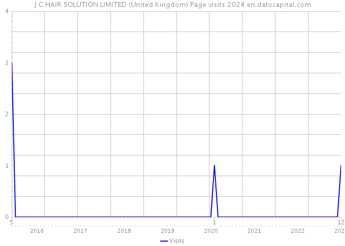 J C HAIR SOLUTION LIMITED (United Kingdom) Page visits 2024 