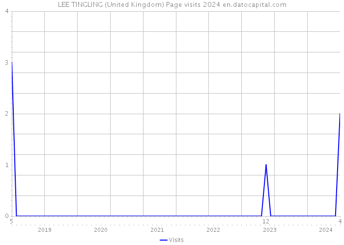 LEE TINGLING (United Kingdom) Page visits 2024 