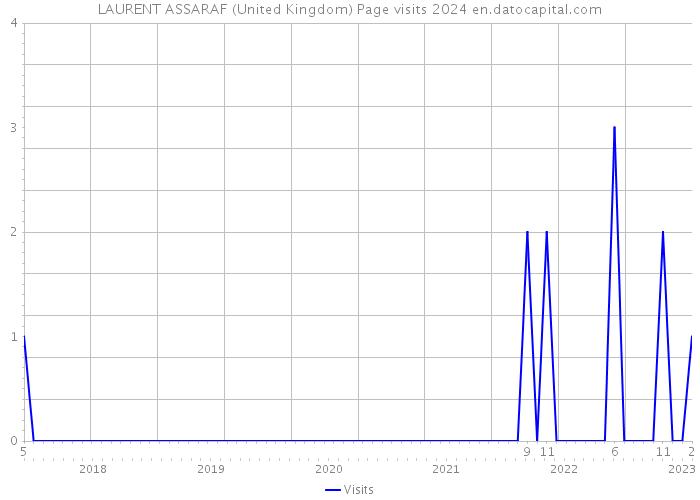 LAURENT ASSARAF (United Kingdom) Page visits 2024 