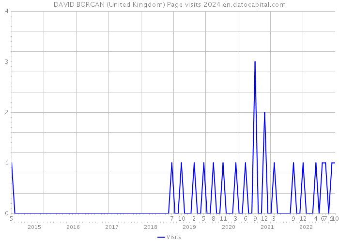 DAVID BORGAN (United Kingdom) Page visits 2024 