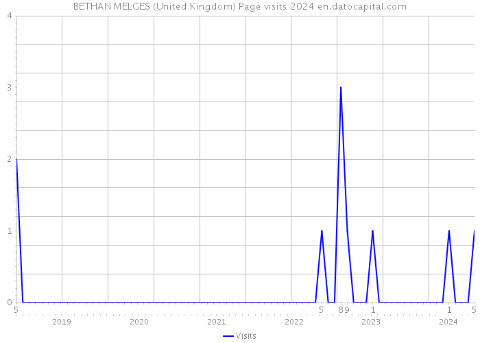 BETHAN MELGES (United Kingdom) Page visits 2024 