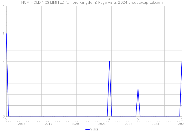 NCM HOLDINGS LIMITED (United Kingdom) Page visits 2024 
