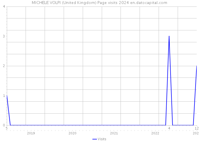 MICHELE VOLPI (United Kingdom) Page visits 2024 