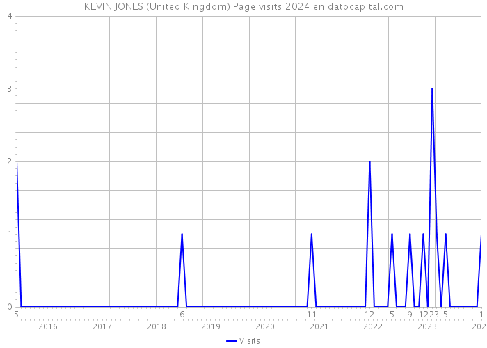 KEVIN JONES (United Kingdom) Page visits 2024 