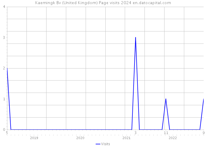 Kaemingk Bv (United Kingdom) Page visits 2024 