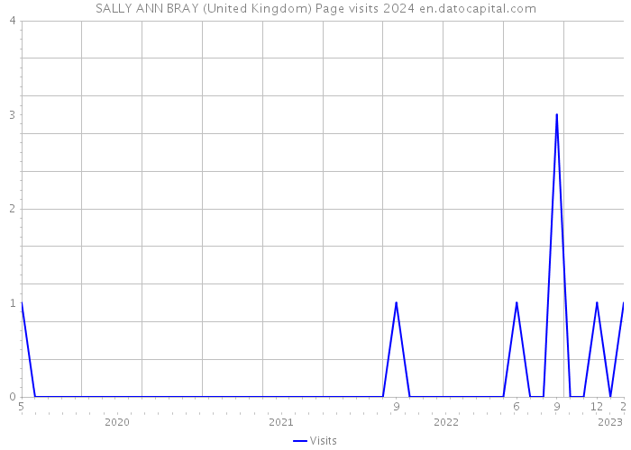 SALLY ANN BRAY (United Kingdom) Page visits 2024 