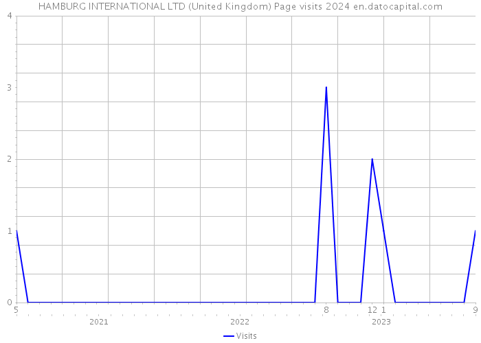 HAMBURG INTERNATIONAL LTD (United Kingdom) Page visits 2024 