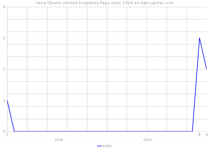 Ilaria Oberto (United Kingdom) Page visits 2024 