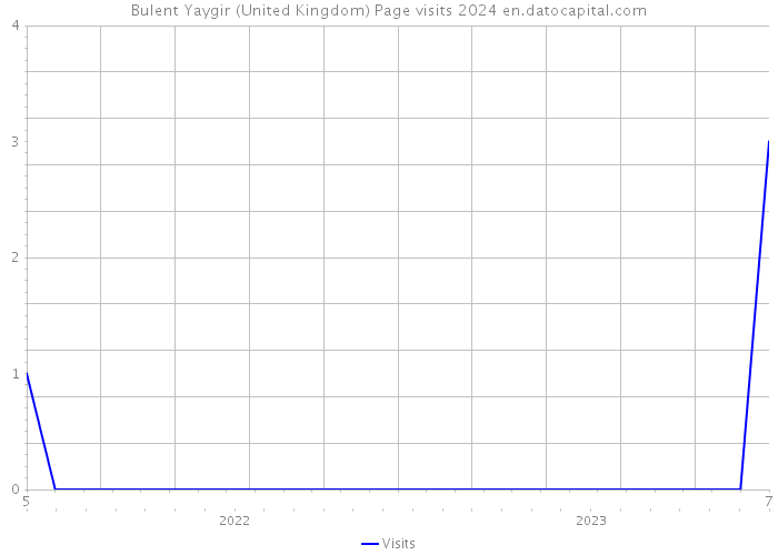 Bulent Yaygir (United Kingdom) Page visits 2024 
