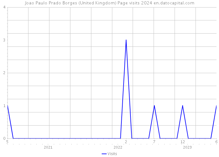 Joao Paulo Prado Borges (United Kingdom) Page visits 2024 
