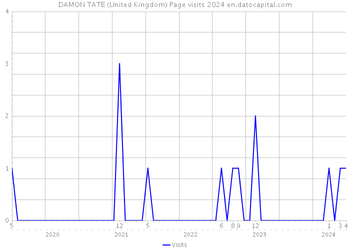 DAMON TATE (United Kingdom) Page visits 2024 