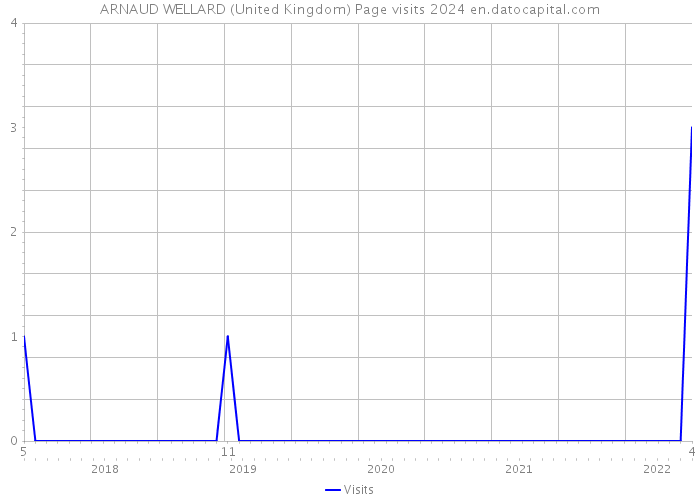 ARNAUD WELLARD (United Kingdom) Page visits 2024 