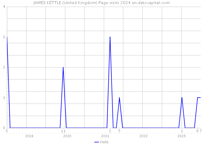 JAMES KETTLE (United Kingdom) Page visits 2024 