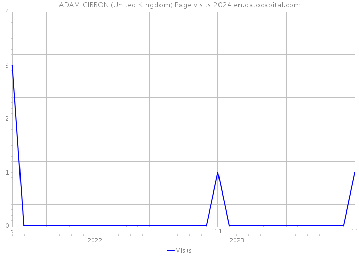 ADAM GIBBON (United Kingdom) Page visits 2024 