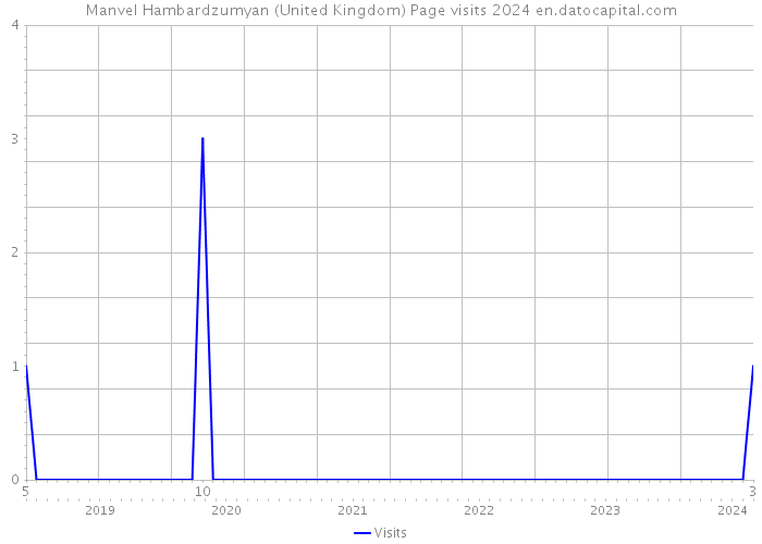 Manvel Hambardzumyan (United Kingdom) Page visits 2024 