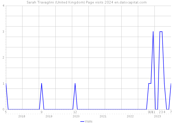 Sarah Travaglini (United Kingdom) Page visits 2024 