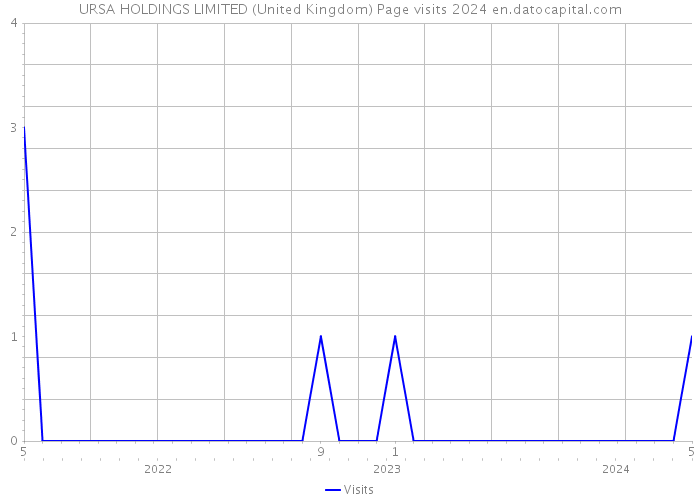 URSA HOLDINGS LIMITED (United Kingdom) Page visits 2024 