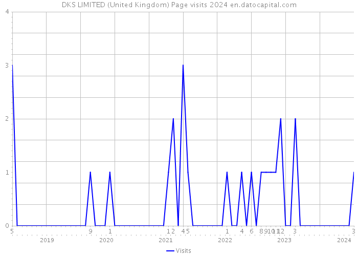 DKS LIMITED (United Kingdom) Page visits 2024 