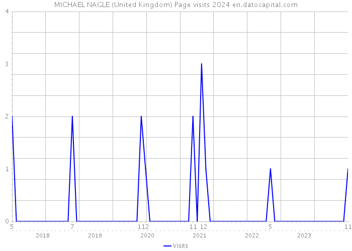 MICHAEL NAGLE (United Kingdom) Page visits 2024 