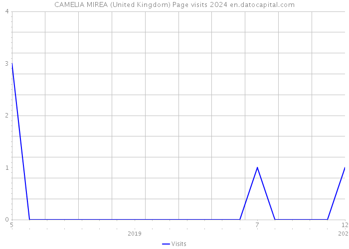 CAMELIA MIREA (United Kingdom) Page visits 2024 