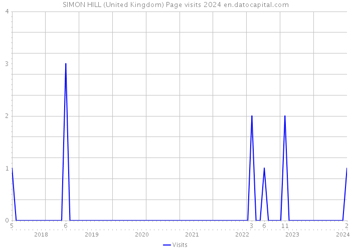SIMON HILL (United Kingdom) Page visits 2024 