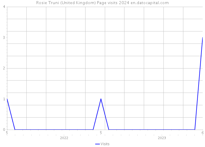 Rosie Truni (United Kingdom) Page visits 2024 