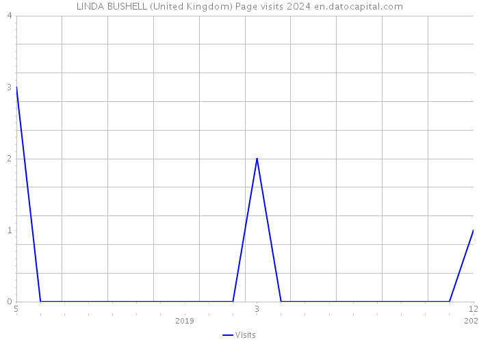 LINDA BUSHELL (United Kingdom) Page visits 2024 