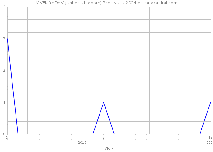 VIVEK YADAV (United Kingdom) Page visits 2024 