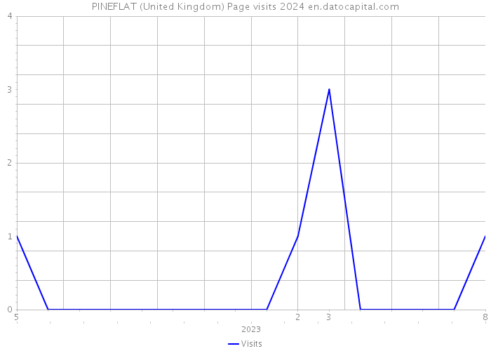 PINEFLAT (United Kingdom) Page visits 2024 