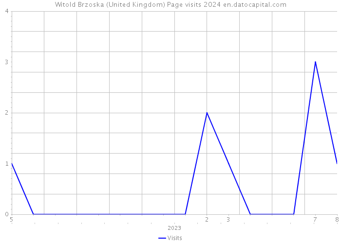 Witold Brzoska (United Kingdom) Page visits 2024 