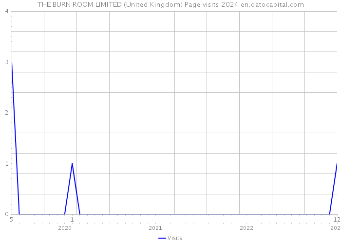 THE BURN ROOM LIMITED (United Kingdom) Page visits 2024 