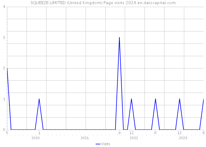 SQUEEZE LIMITED (United Kingdom) Page visits 2024 