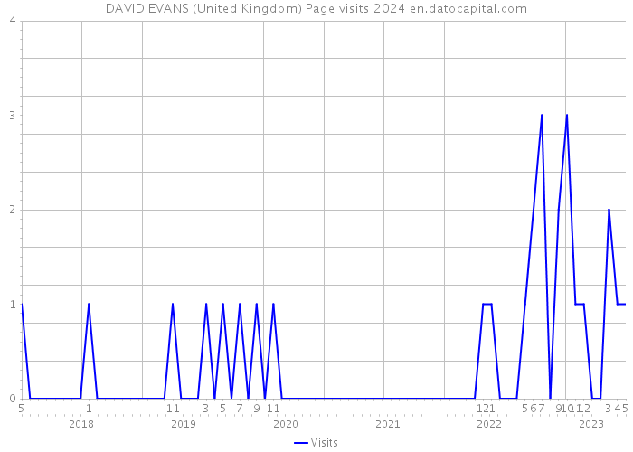 DAVID EVANS (United Kingdom) Page visits 2024 