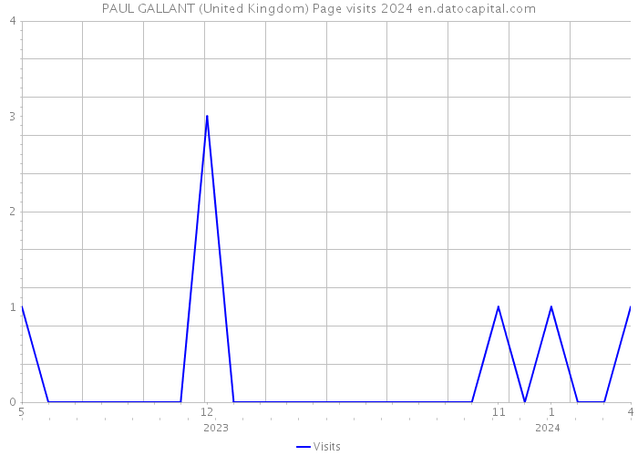 PAUL GALLANT (United Kingdom) Page visits 2024 