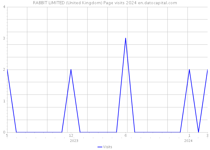 RABBIT LIMITED (United Kingdom) Page visits 2024 