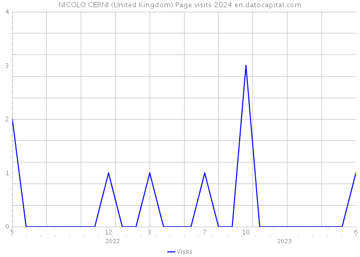 NICOLO CERNI (United Kingdom) Page visits 2024 