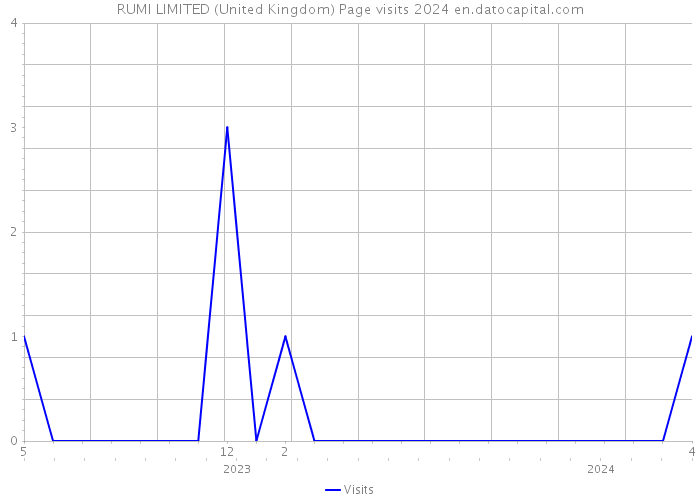 RUMI LIMITED (United Kingdom) Page visits 2024 
