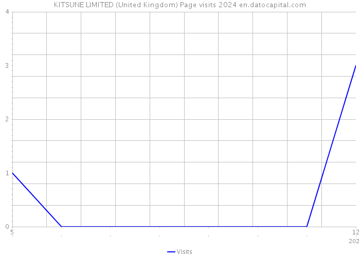 KITSUNE LIMITED (United Kingdom) Page visits 2024 