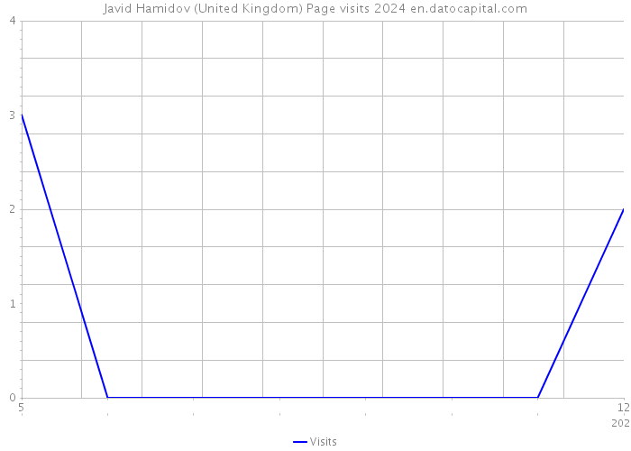 Javid Hamidov (United Kingdom) Page visits 2024 