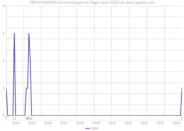 FEROZ DINSON (United Kingdom) Page visits 2024 