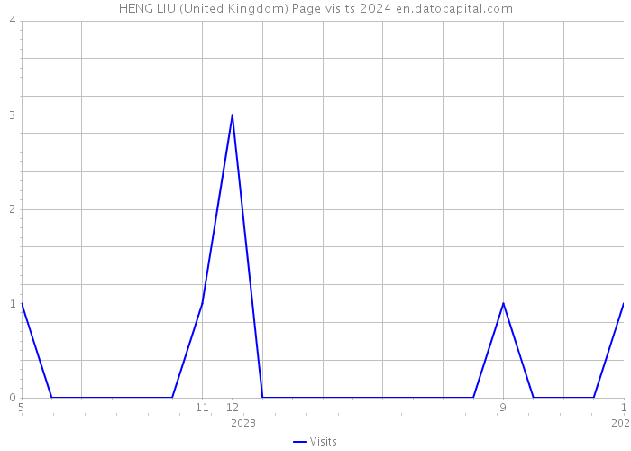 HENG LIU (United Kingdom) Page visits 2024 
